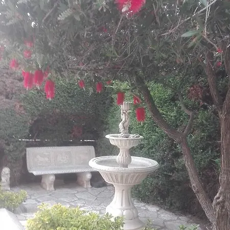 Oda ve Kahvaltı Siria Busith *